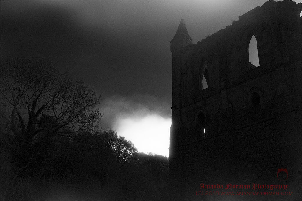 Ghosts of Rievaulx Abbey