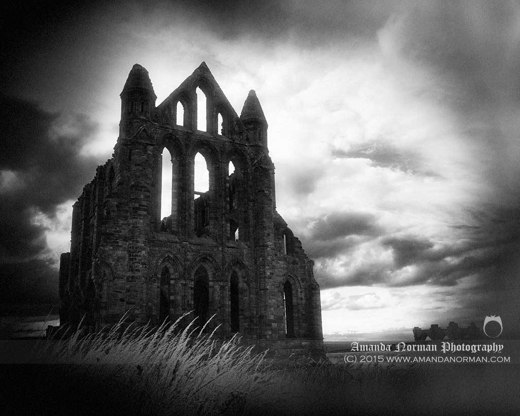 Whitby Abbey print from Amanda Norman