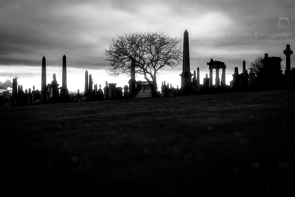 Glasgow Necropolis by Amanda Norman