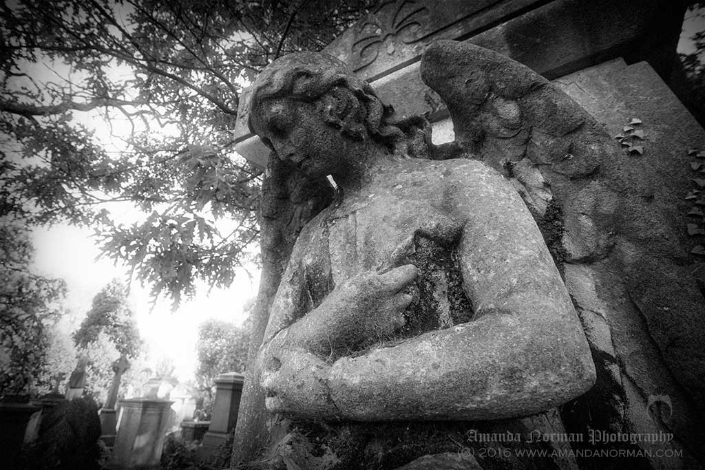 An Angel in Kensall Green Cemetery
