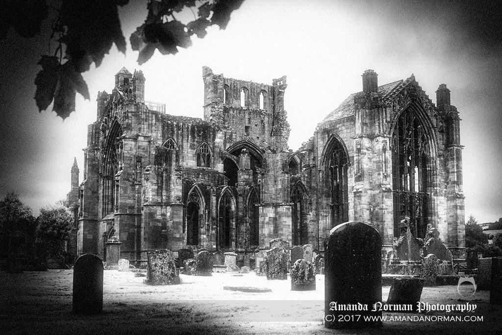 Vampire of Melrose Abbey