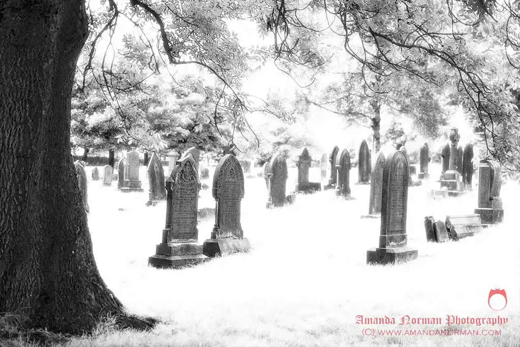 Victorian cemeteries and my love for them