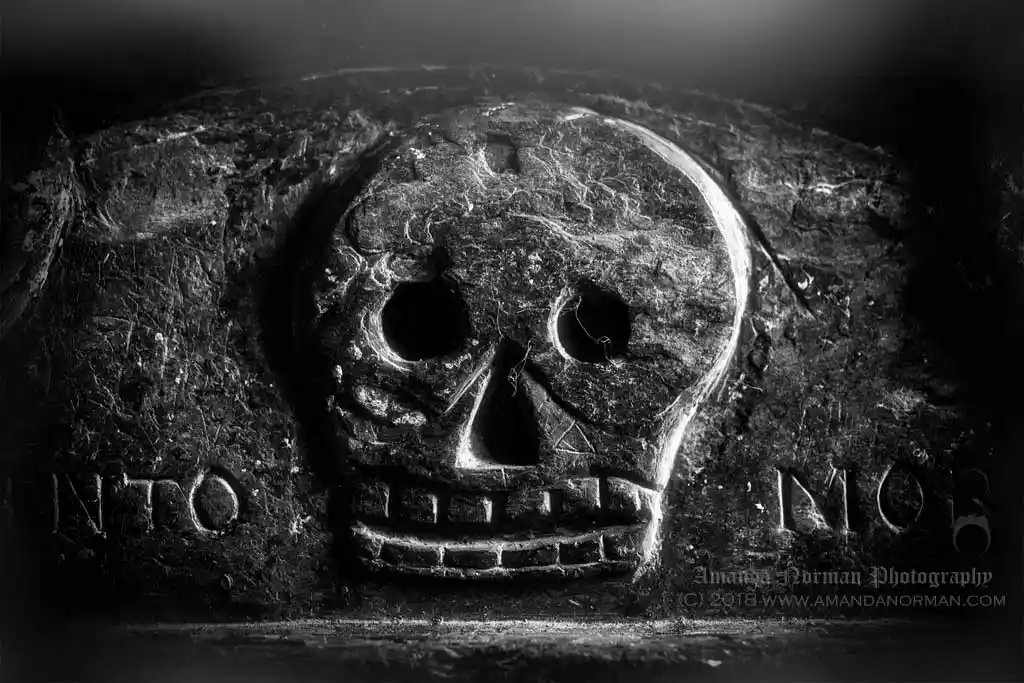Memento Mori Skull on Headstone by Amanda Norman