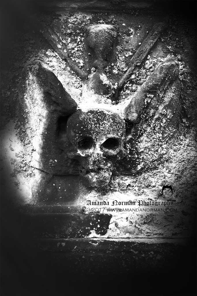 Winged Skull on Headstone