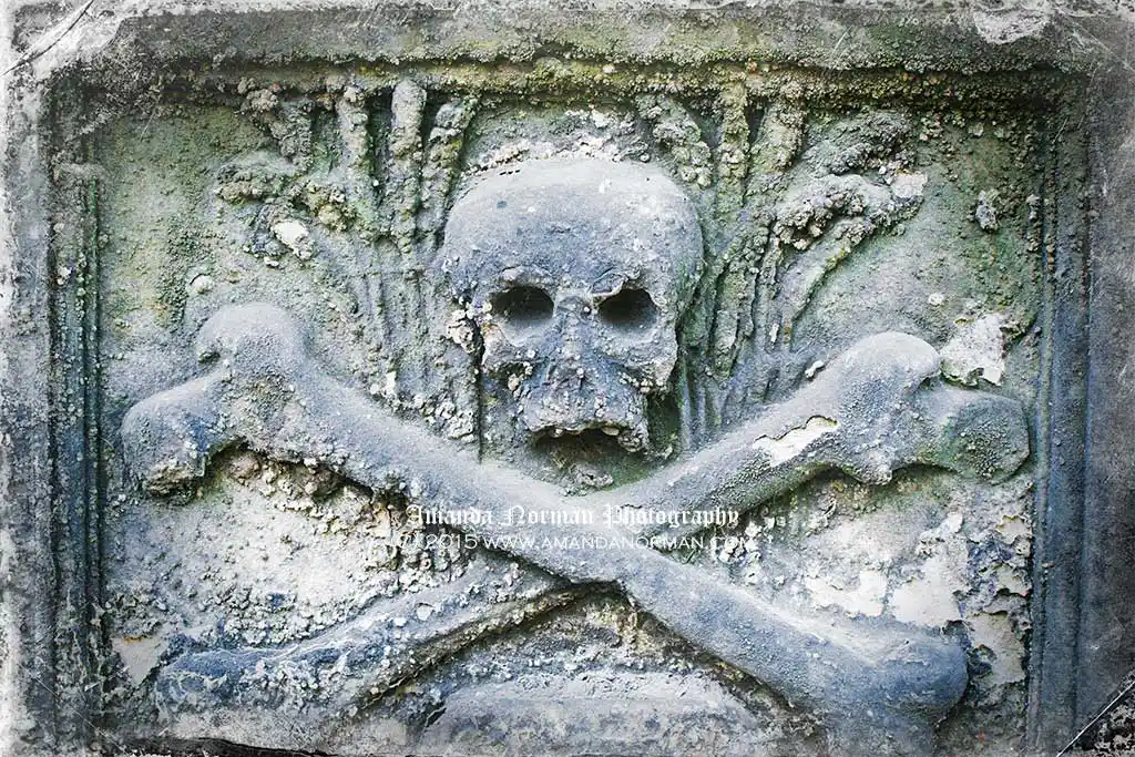 Image showing a skull and crossbones with wheat on a headstone